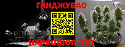 стафф Славгород