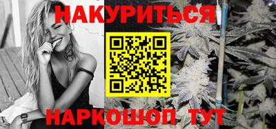стафф Славгород