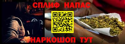 стафф Славгород