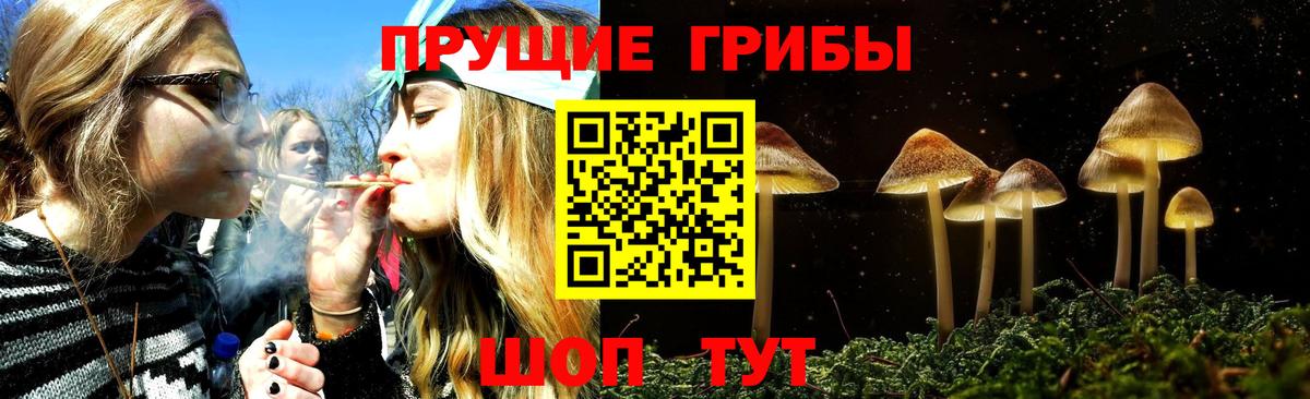 Обь  Галлюциногенные грибы мицелий  Вход с VPN 